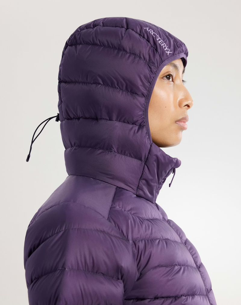 Arc'teryx Women's Cerium Hoody in Moondrop-6
