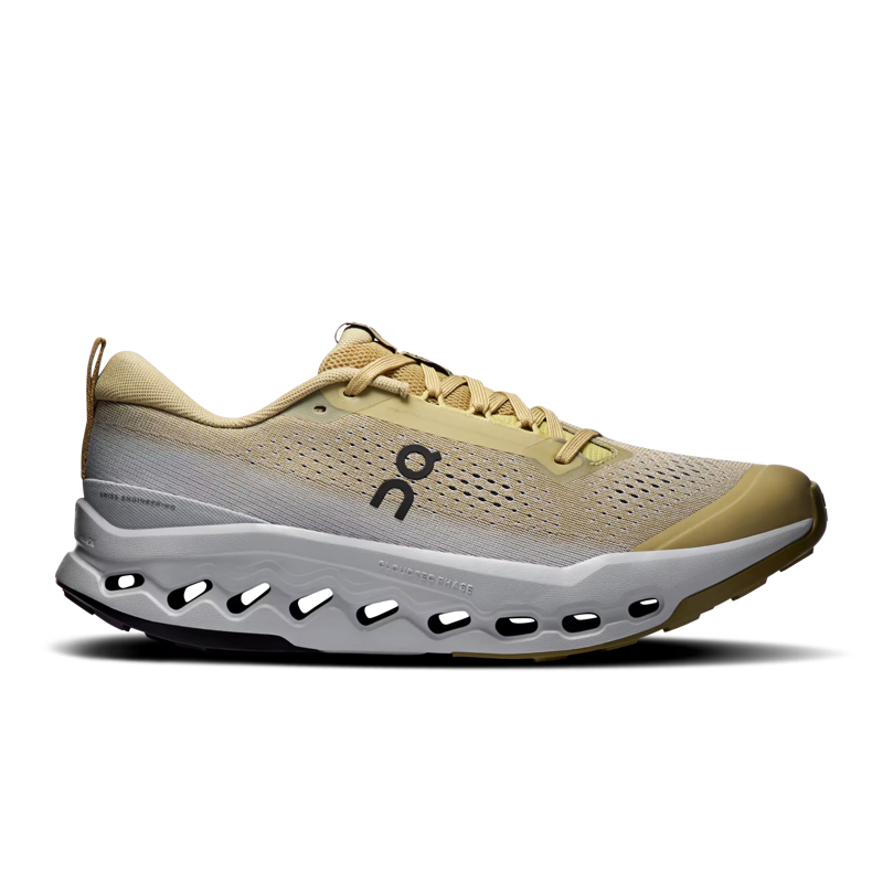 On Running Cloudsurfer Trail 2 in Safari/Glacier