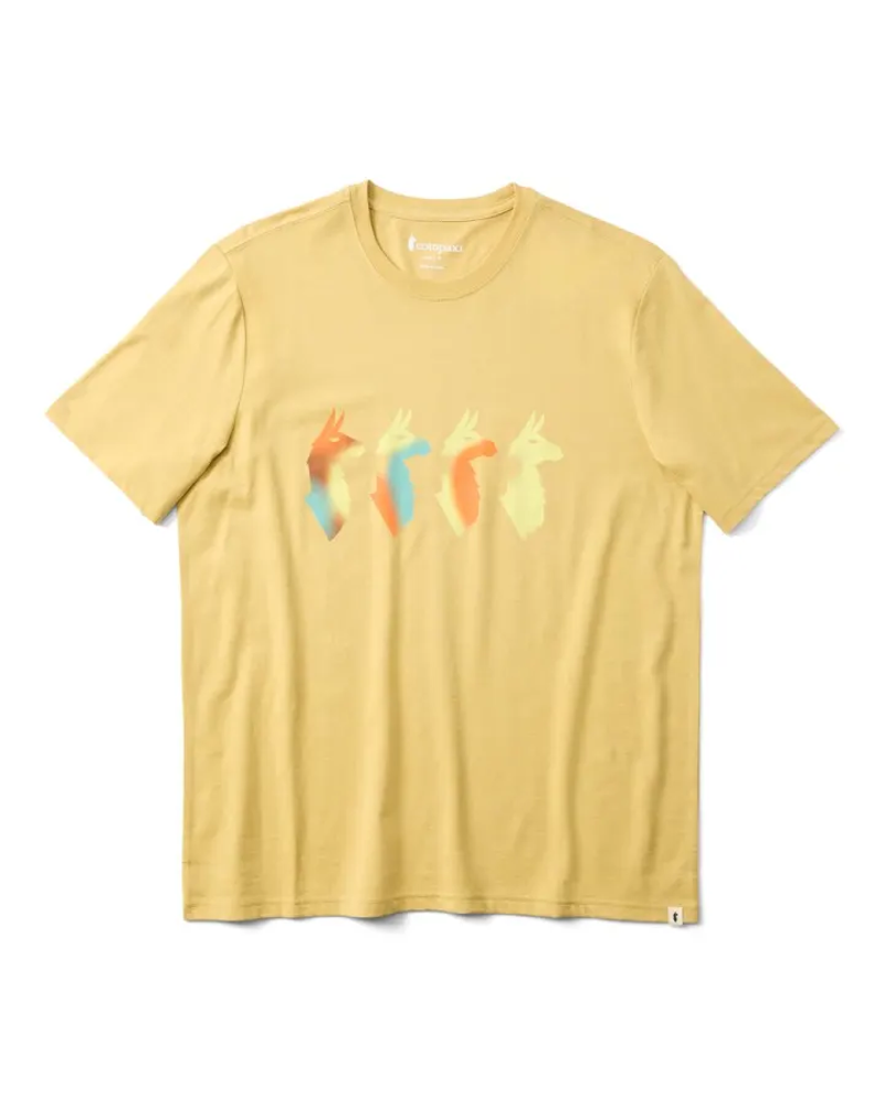 Cotopaxi Men's Cuatro Bitmap T-Shirt in Husk