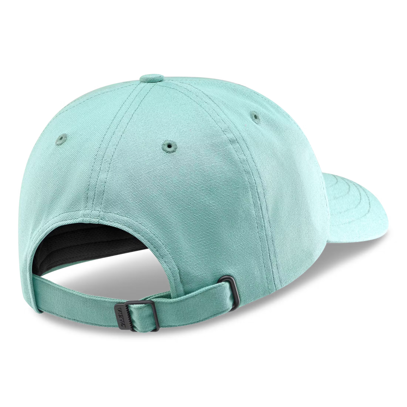Salewa Eagle Logo Cap in Willow-1