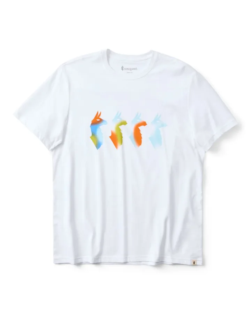 Cotopaxi Men's Cuatro Bitmap T-Shirt in White