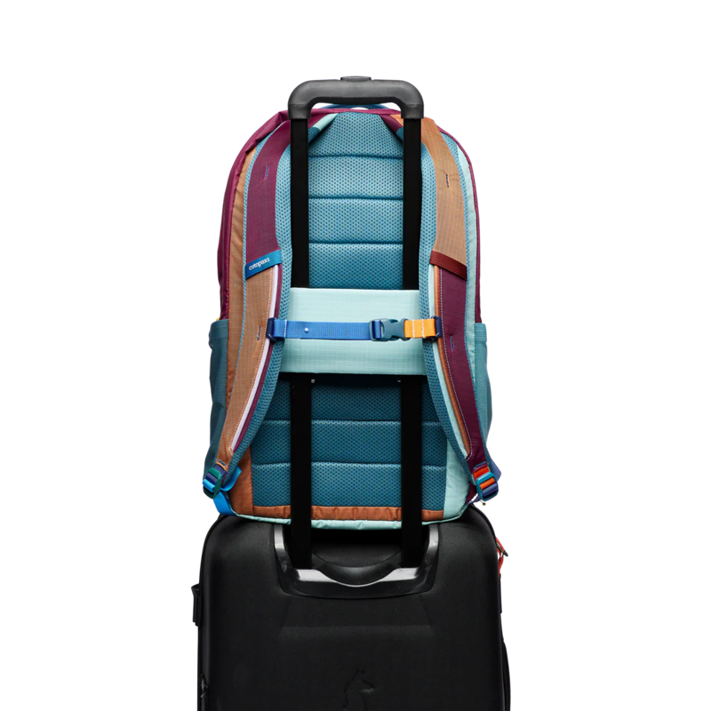 Cotopaxi Allpa 26L Daypack in Del Dia-4