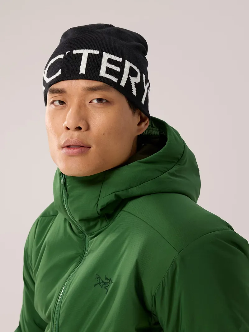 Arc'teryx Adult Word Head Toque Beanie in Orca-1
