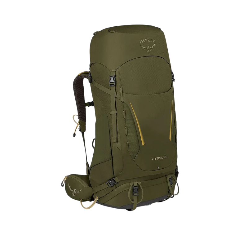Osprey Kestrel 58 in Moss Green