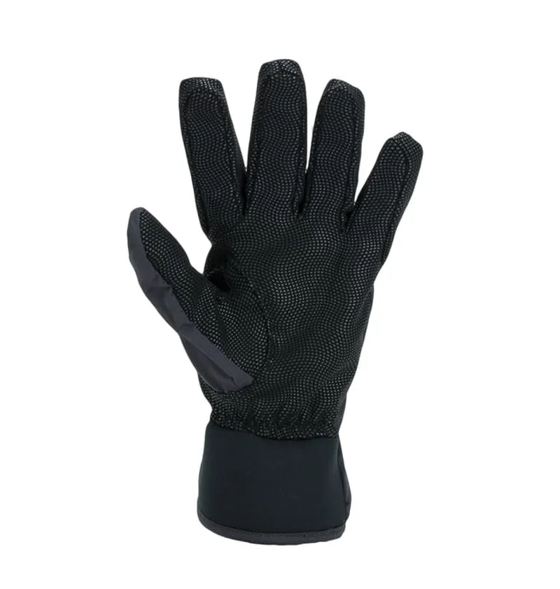 Sealskinz Unisex Waterproof All Weather LW Gloves in Black-1