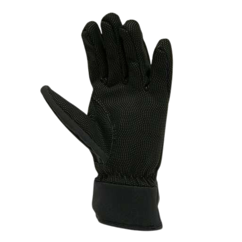 Sealskinz Women's Waterproof All Weather Lightweight Glove in Black-1